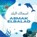 اسماك البلد - الطائف - المنطقة المركزية